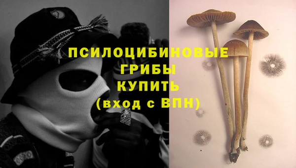 дмт Алексеевка