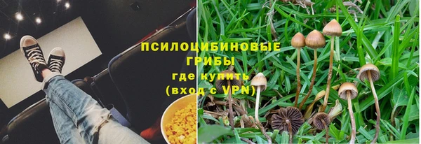 дмт Алексеевка